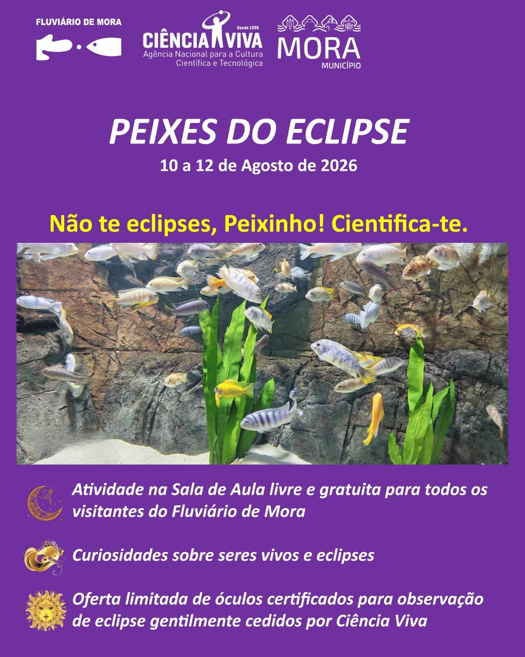 Peixes do Eclipse — event image
